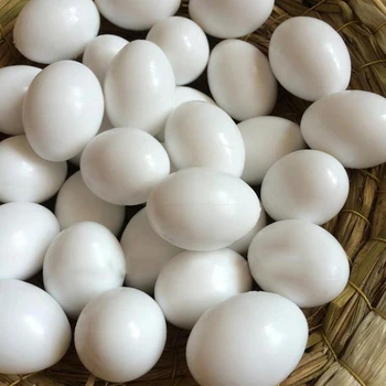 10 бр., твърди фалшиви гълъбите яйца, бял висококачествен пластмасова кана за пиле гнездото, фалшив яйце за отглеждане на млади птици, стоки за домашни любимци