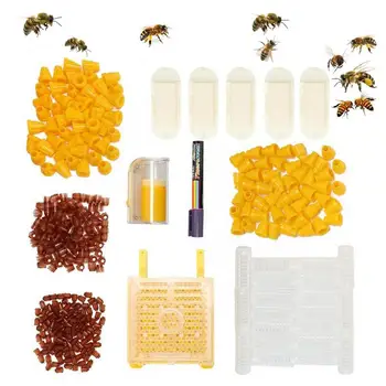 Комплект Система на отглеждане на Пчелните на Матката Аксесоари И Обзавеждане За съдържанието на Пчелите Кутия за Отглеждане на Пчелните на Матката Маркерная Дръжка Клетка на Мобилен Чашка