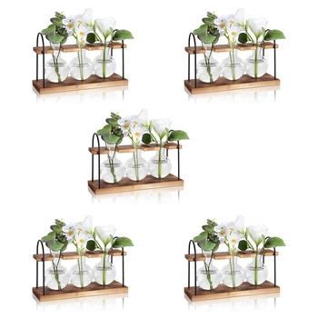 5X Станция за размножаване на растения с дървена стойка, Настолни станция за размножаване на растения в терариума, Стъклена ваза за въздушен плантатор